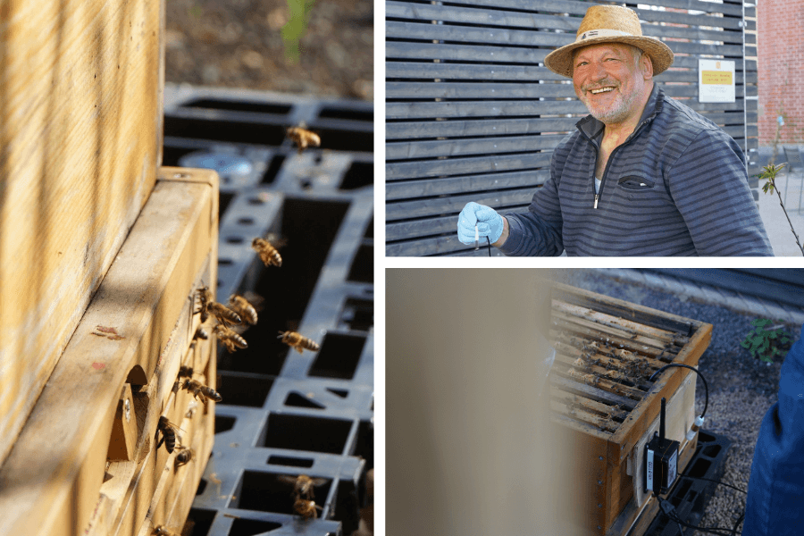 BeeHappy - Digitaler Bienenstock