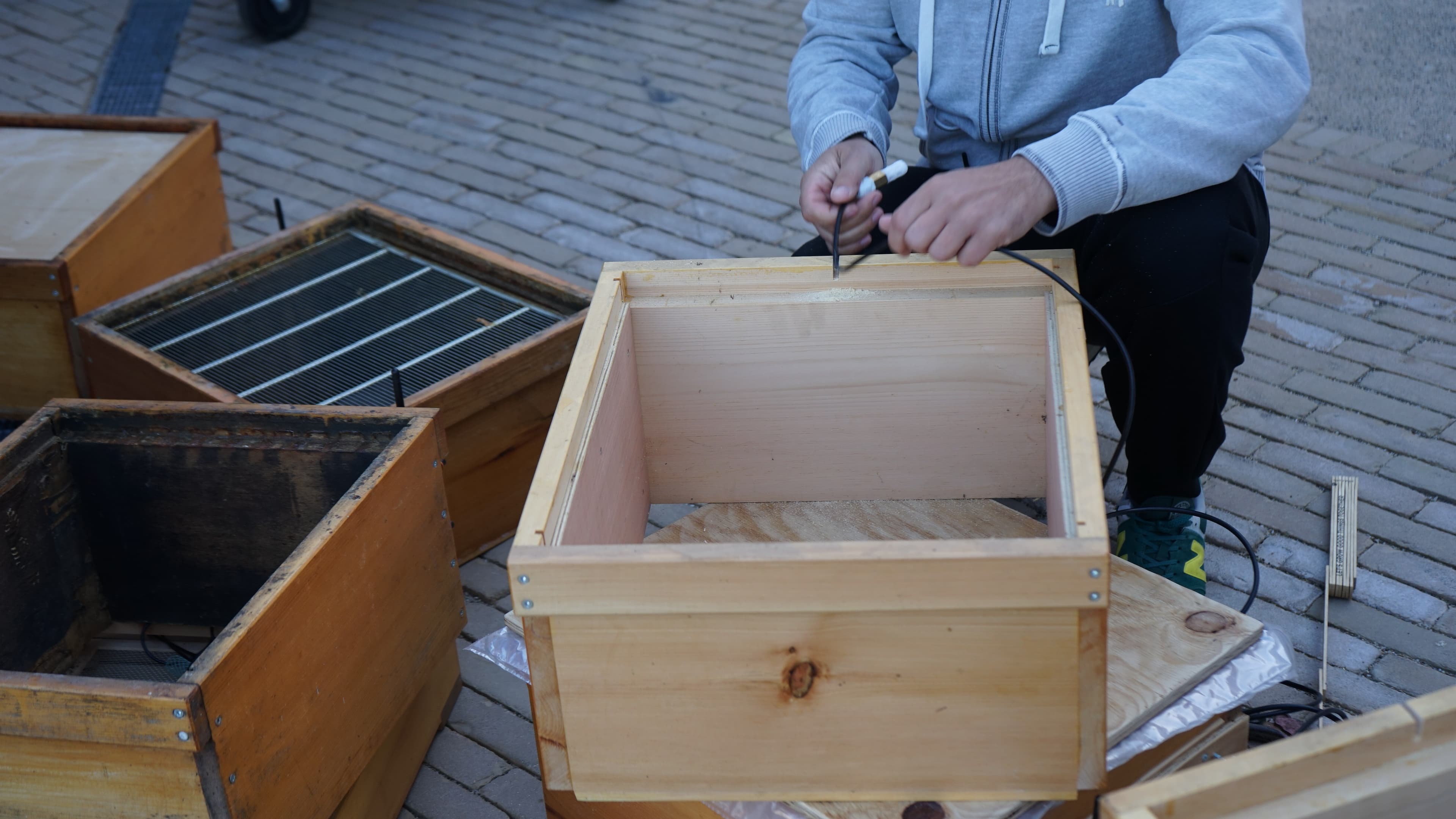 Beekeeping impression - bee colony management